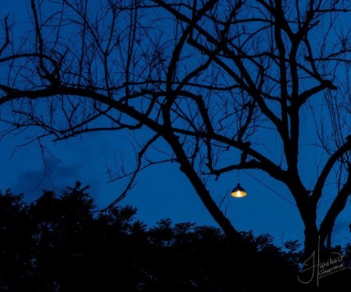 600328_524518167609317_1565311546_n